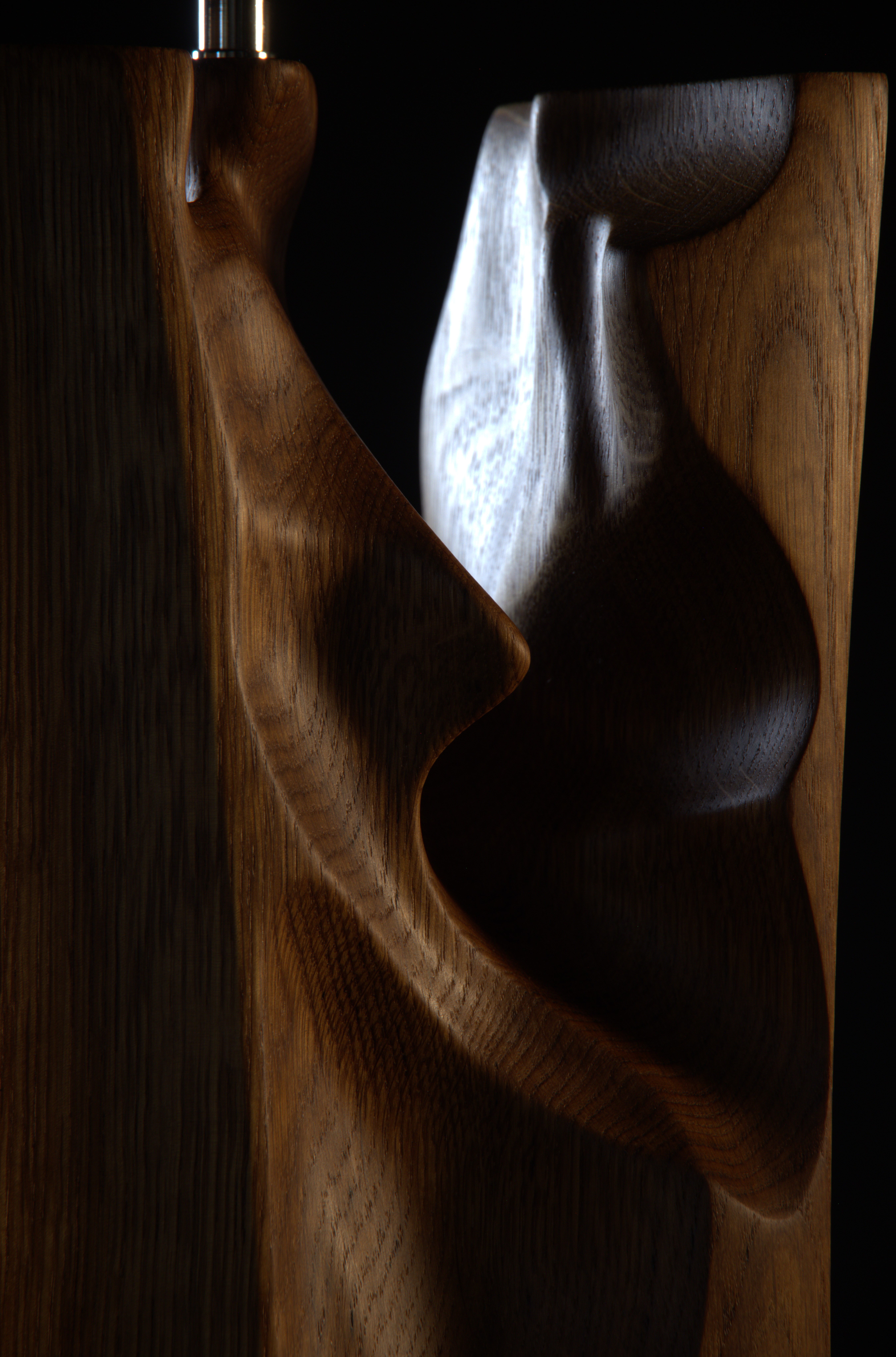 InverSe
